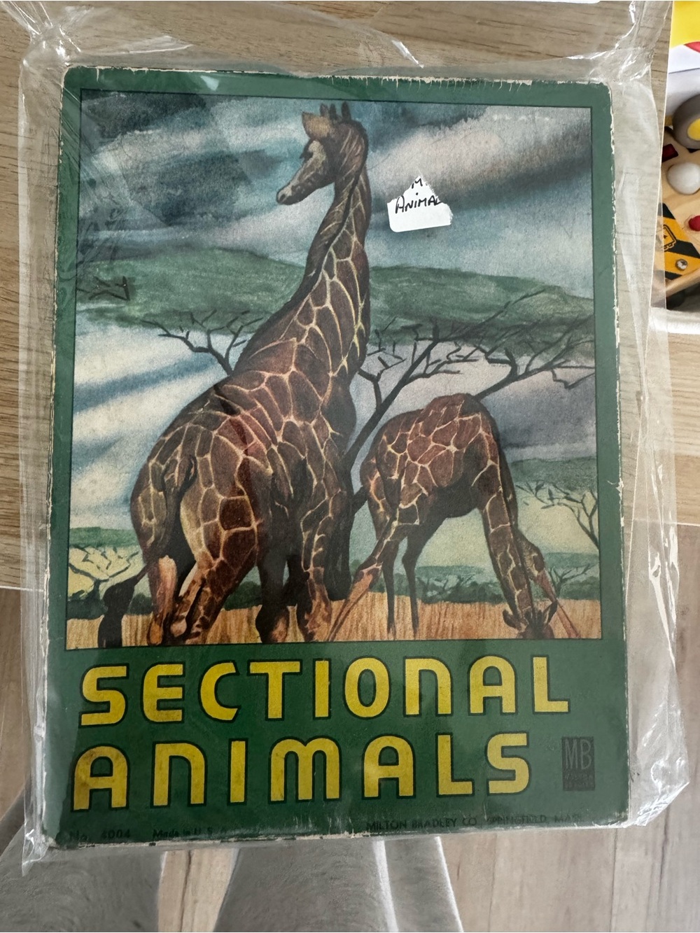 Giraffe Wall Art - Green